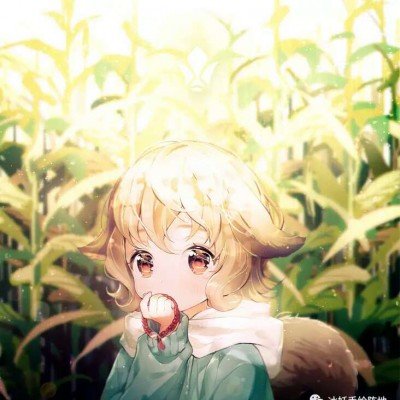 滇池出现绿浪 官方回应
